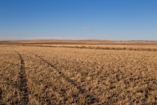 Great Plains of Colorado